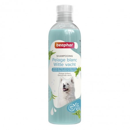 Shampooing chien pour pelage blanc