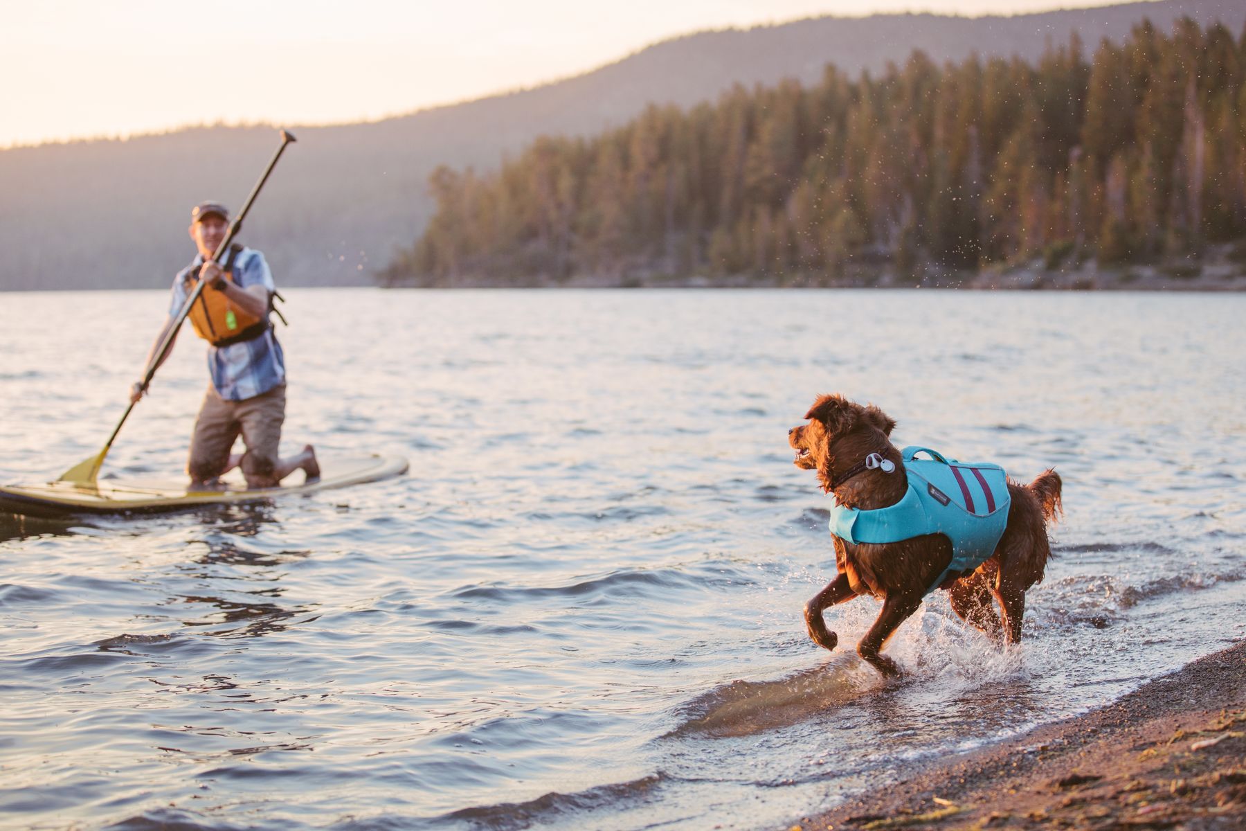 Gilet De Sauvetage Ruffwear Ruffwear Huberland